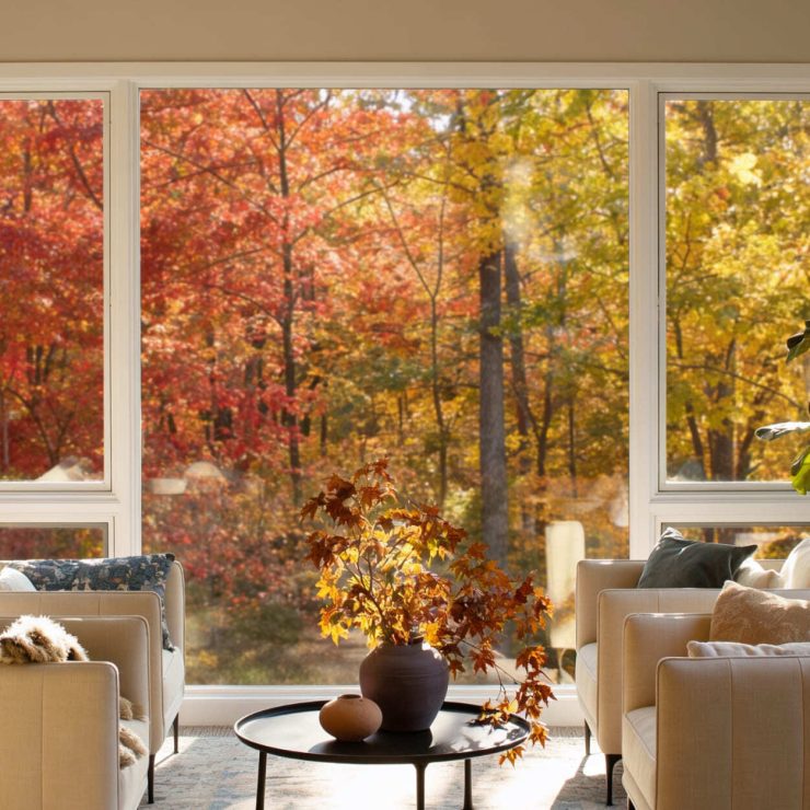 Cozy living room with large windows showcasing vibrant fall foliage and inviting natural light.
